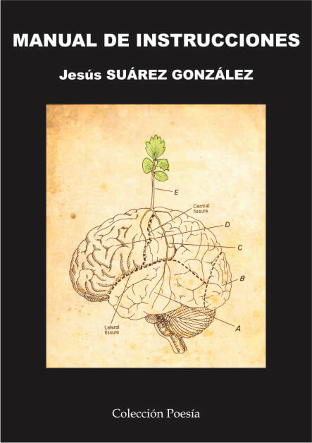 MANUAL DE INSTRUCCIONES – Jesús SUÁREZ GONZÁLEZ