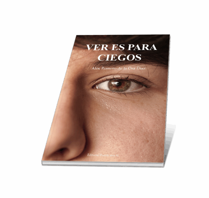 VER ES PARA CIEGOS. ALEX ROMERO DE LA OSA DÍAZ - Imagen 7