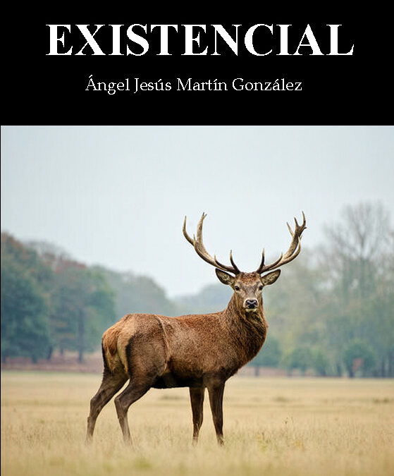 Existencial de Ángel Jesús Martín González. Las palabras que no se dijeron a tiempo