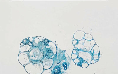 Don de la invocación de Raúl Gimeno: Cuando el poeta abre un espacio al silencio