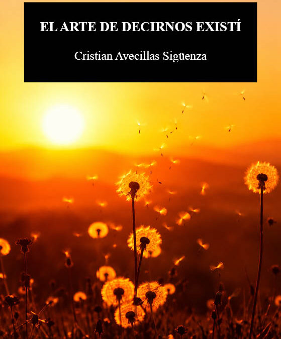 El arte de decirnos existí, de Cristian Avecillas Sigüenza. Lo que no firma la máquina